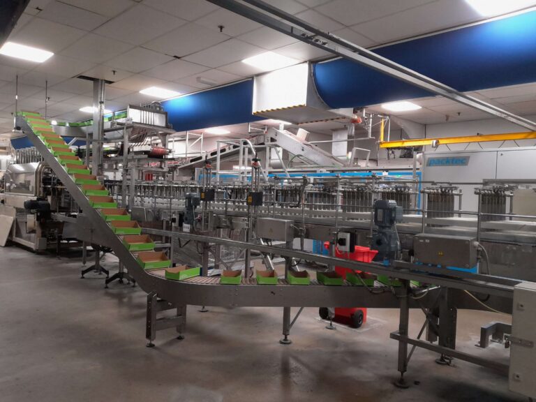 Top tray transportbaan – Heinz Elst